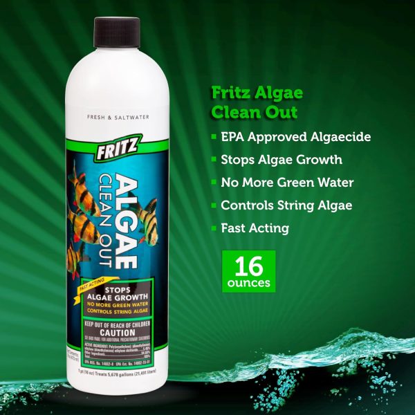 Fritz Aquatics Algae Clean Out - Algaecide for Fresh and Salt Water Aquariums, 16 oz - Image 2