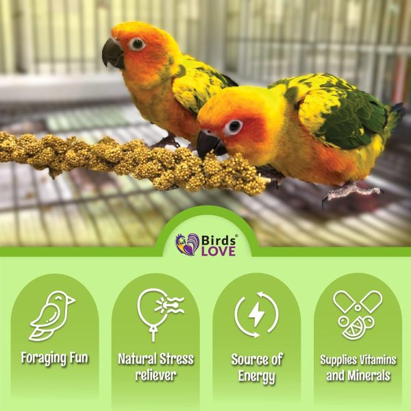 Birds LOVE French Kissed Spray Millet for Birds - Parakeets, Cockatiels, Lovebirds, Finches, Budgies, Canaries, Cockatoos - Natural & Healthy Bird Millet - Parakeet Food & Treats for All Parrots 2lbs - Image 6