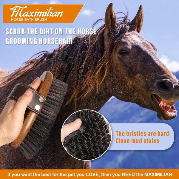 MAXIMILIAN World Class Handmade Equine Stiff Body Horse Brush. Professional Equine Grooming Tools. Effortlessly Removes Mud, Sweat and Dirt from Your Horses Hair. - Image 7