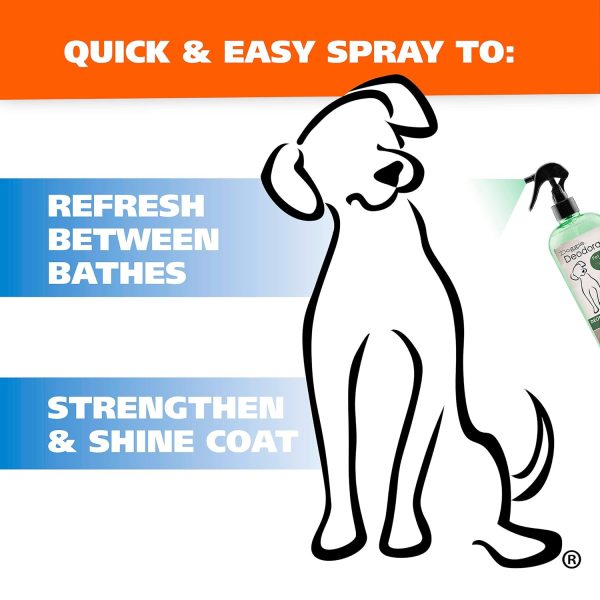 Wahl USA Deodorizing & Refreshing Pet Deodorant for Dogs - Eucalyptus & Spearmint Scent to Refresh the Skin and Coat - Model 820011A - Image 4