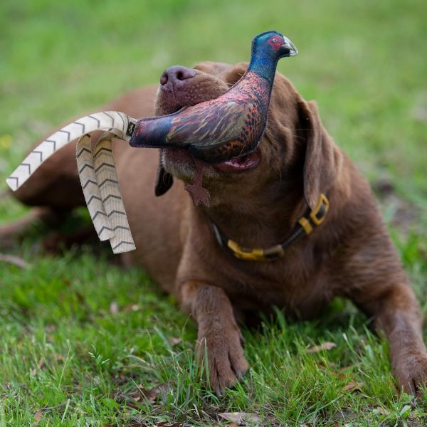 Browning Pheasant Chew Toy Brown (P000015690199) - Image 4