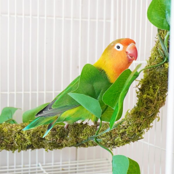 25 Inch Bendable Bird Perches, Bird Toys, Ideal Bird Cage Accessories - Image 2