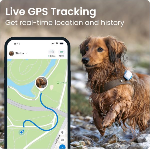 Tractive GPS Tracker for Dogs - Waterproof, GPS Location & Smart Pet Activity Tracker, Unlimited Range, Works with Any Collar (White) - Image 2