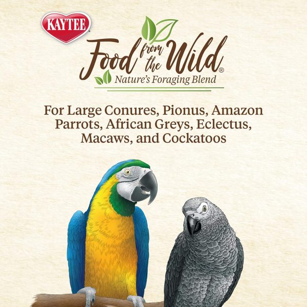 Kaytee Food From The Wild Natural Pet Bird Snack Food Treats For Conures, Pionus, Amazon Parrots, African Greys, Eclectus, Macaws, and Cockatoos, 3 oz. - Image 6