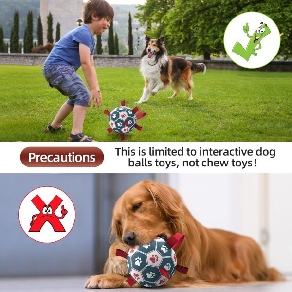 QDAN Dog Toys Soccer Ball with Straps, Interactive Toys for Tug of War, Puppy Birthday Toy, Dog Water Toy, Dog Balls for Small Medium Dog (6 Inch) - Image 9