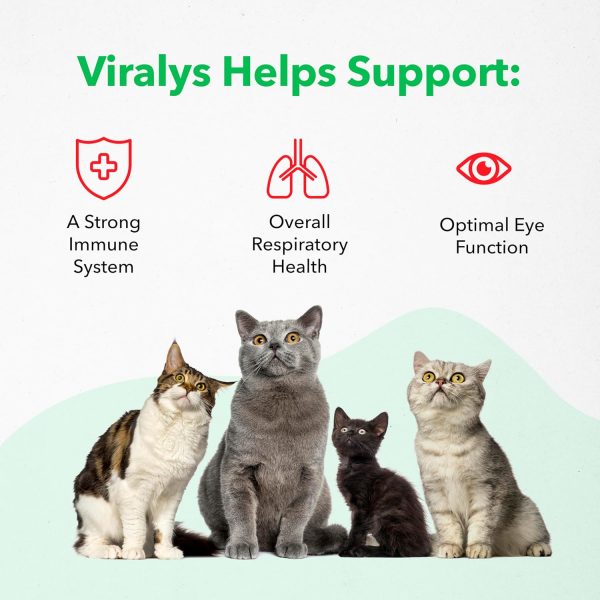 Vetoquinol Viralys Gel L-Lysine Supplement for Cats, 5oz - Cats & Kittens of All Ages - Immune Health - Sneezing, Runny Nose, Squinting, Watery Eyes - Palatable Maple Flavor Lysine Gel - Image 8