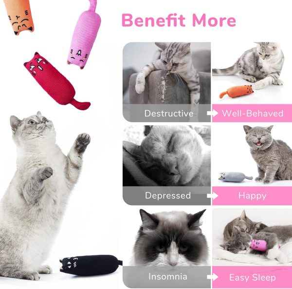 Legendog 5Pcs Bite Resistant Catnip Toy for Cats,Catnip Filled Cartoon Mice Cat Teething Chew Toy - Image 4