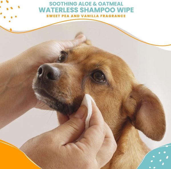 Nootie Waterless Shampoo Wipes for Dogs & Cats - Long Lasting Sweet Pea Vanilla Fragrance - Sold in Over 10,000 Vet Clinics and Pet Stores Worldwide, Made in USA - 70 Count - Image 3