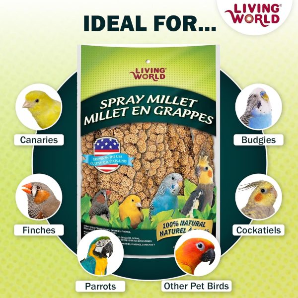 Living World - Millet Spray for Birds, 3.5 Oz – Premium Treat for Budgies, Canaries, Finches, Cockatiels and Other Pet Birds - Image 4