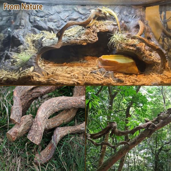 Reptile Decor Natural Forest Branch Terrarium Habitat Driftwood Decoration Lizard Climbing Tree Branch for Bearded Dragon Gecko Snake Frog Chameleon Spider 4PCS - Image 6