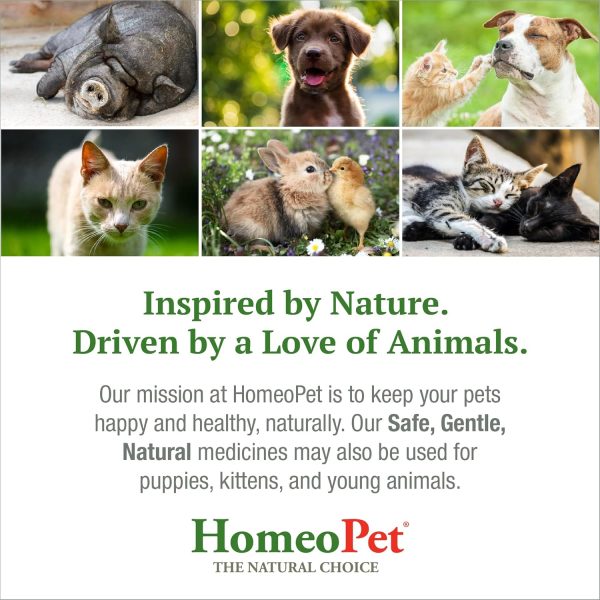 HomeoPet Feline Nose Relief, Natural Nasal and Sinus Medicine for Cats, Pet Medicine, 15 Milliliters - Image 6