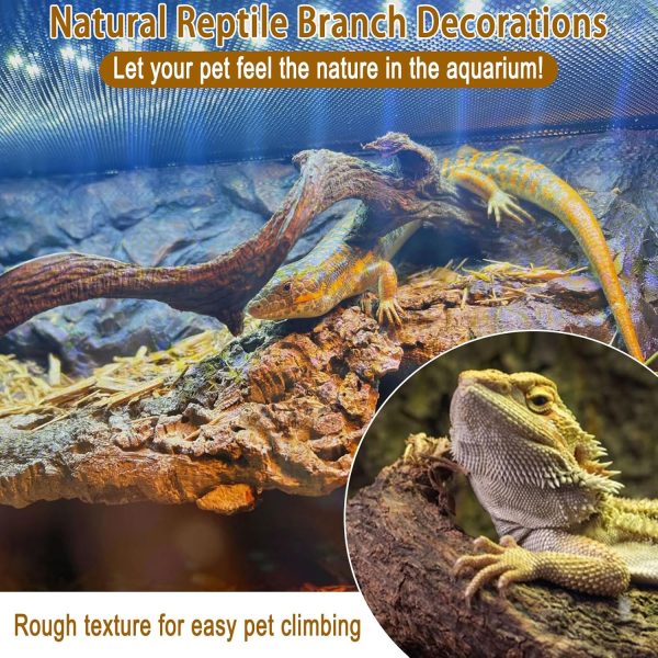 Reptile Decor Natural Forest Branch Terrarium Habitat Driftwood Decoration Lizard Climbing Tree Branch for Bearded Dragon Gecko Snake Frog Chameleon Spider 4PCS - Image 2