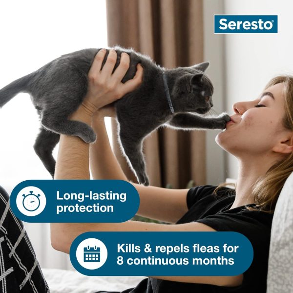 Seresto Cat Vet-Recommended Flea & Tick Treatment & Prevention Collar for Cats | 8 Months Protection - Image 5