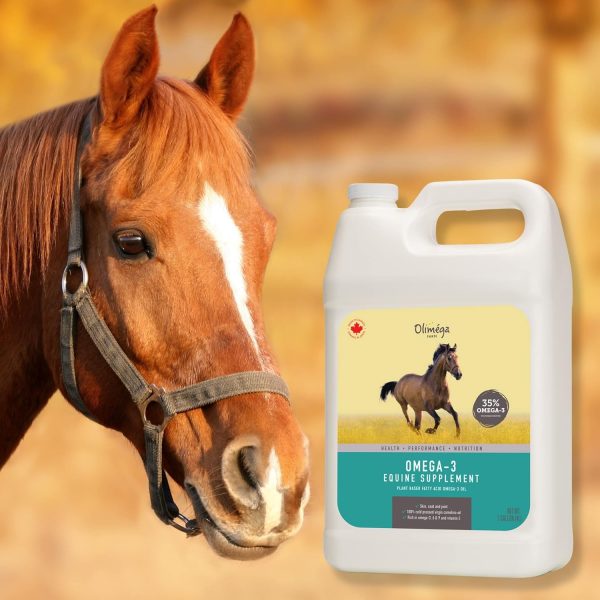 Camelina Oil for Horses, 1 Gallon by Olimega Farm | High in Omega-3 & Vitamin E | Support for Healthy Joints, Coat & Skin | Pure & Cold Pressed | Joint Supplement | Made in Canada | Non-GMO - Image 8