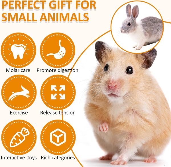 VESPRO Hamster Toys Set, Guinea Pig Toys Small Animal Chewing Toy and Rat Cage Accessories, Chinchillas, Gerbils, Rats, Rabbit Rodents Teeth Care, Apple Wood Timothy Hay Mouse Toy Swing Seesaw Bridge - Image 4