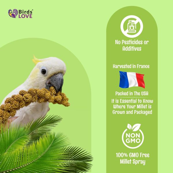 Birds LOVE French Kissed Spray Millet for Birds - Parakeets, Cockatiels, Lovebirds, Finches, Budgies, Canaries, Cockatoos - Natural & Healthy Bird Millet - Parakeet Food & Treats for All Parrots 2lbs - Image 5