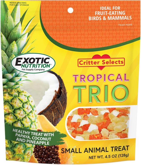 Tropical Trio - Healthy Natural Mixed Dried Fruit Treat - Papaya, Coconut, Pineapple - for Sugar Gliders, Squirrels, Prairie Dogs, Skunks, Marmosets, Parrots, Birds, Rats, Small Pets (4.5 oz.) - Image 2