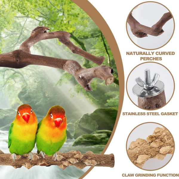 6PCS Bird Perch 2 Grape Stick Paw Grinding Fork Natural Wood Bird Stand 4 Parrot Stand Bird Toys for Parakeets Chewing Exercise Branches, Bird Cage Accessories for Cockatiels, Conure, Budgies - Image 3