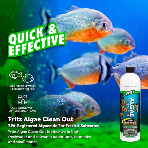 Fritz Aquatics Algae Clean Out - Algaecide for Fresh and Salt Water Aquariums, 16 oz - Image 6