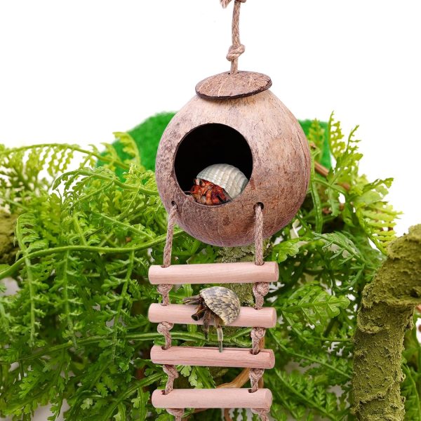 Hermit Crab Coconut Husk Hut with Branch Ladder,Coconut House Hermit Crab Shells Reptile Habitat,Coconut Nest Hangable Suitable for Animal Hiding Sleep (Coconut Shell) - Image 4