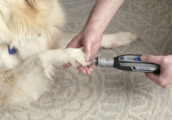 Dremel PawControl 7760-PGK Dog Nail Grinder and Trimmer - Cordless & Rechargeable Pet Grooming Tool Kit - Safe and Humane for Dogs, Cats, and Small Animals - Image 9