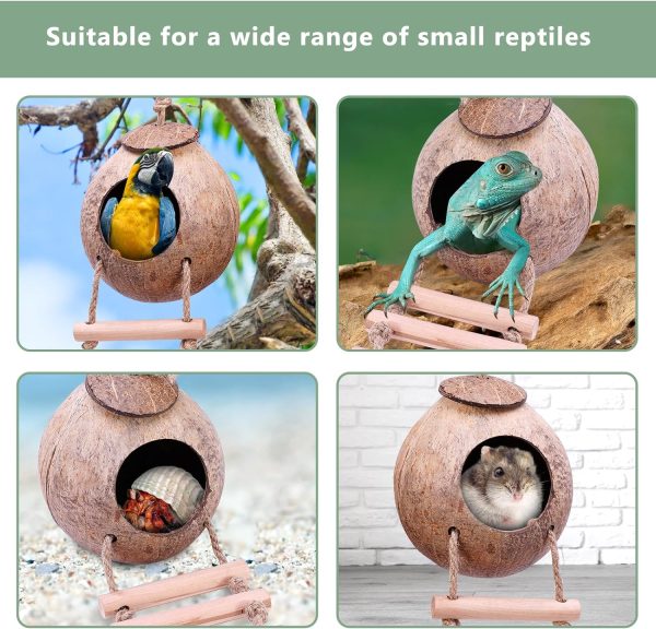 Hermit Crab Coconut Husk Hut with Branch Ladder,Coconut House Hermit Crab Shells Reptile Habitat,Coconut Nest Hangable Suitable for Animal Hiding Sleep (Coconut Shell) - Image 6