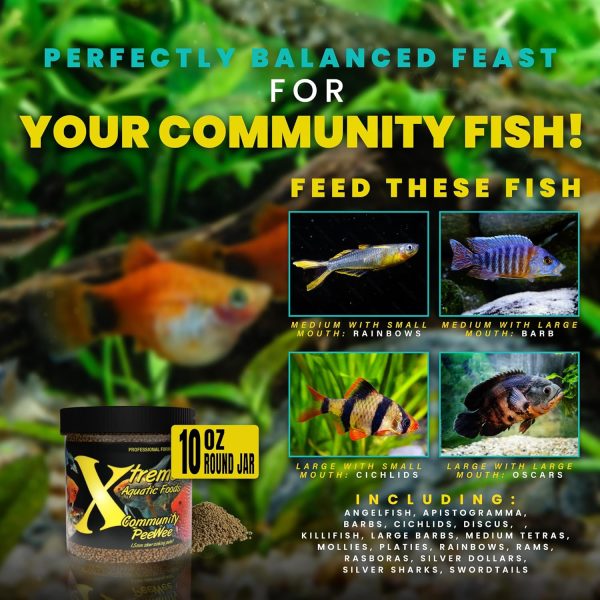 Xtreme Community Peewee 1.5mm Pellets: Slow Sinking & Ideal for Community Fish - Boosts Immune & Digestive Health, Enhances Color & Energy, Max Protein Fish Food – USA Farm Grown (10oz) - Image 3