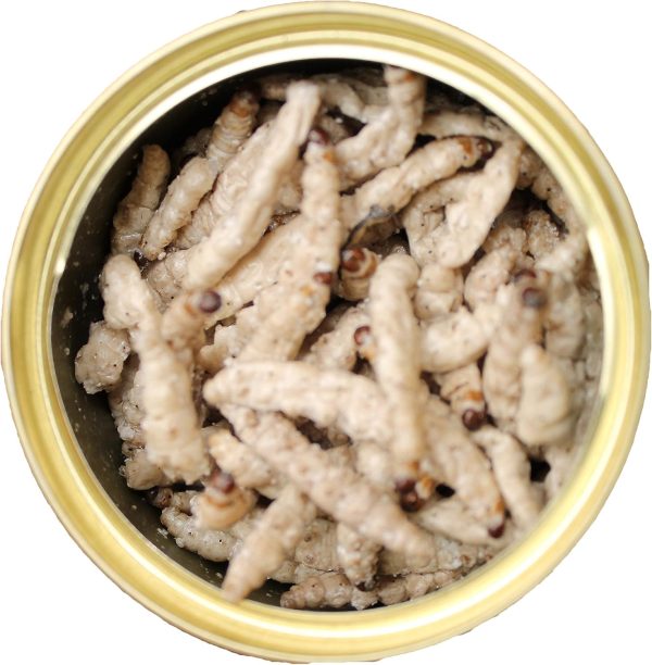 Canned Caterpillars (1.2 oz. 6 Pack) - Healthy High Protein Insect Treat - Hedgehogs, Sugar Gliders, Reptiles, Wild Birds, Chickens, Lizards, Bearded Dragons, Skunks, Opossums, Fish, Amphibians - Image 2