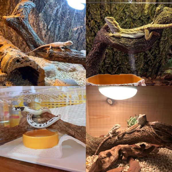 Reptile Decor Natural Forest Branch Terrarium Habitat Driftwood Decoration Lizard Climbing Tree Branch for Bearded Dragon Gecko Snake Frog Chameleon Spider 4PCS - Image 7