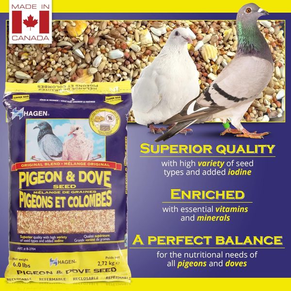 Hagen Pigeon & Dove Seed, Nutritionally Complete Bird Food, original version, 6 Pound (Pack of 1) (B2704) - Image 2