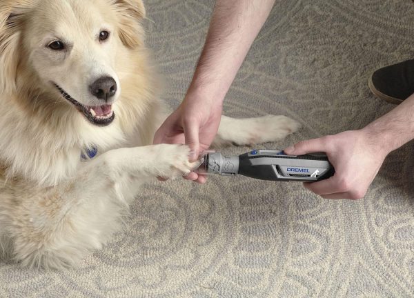 Dremel PawControl 7760-PGK Dog Nail Grinder and Trimmer - Cordless & Rechargeable Pet Grooming Tool Kit - Safe and Humane for Dogs, Cats, and Small Animals - Image 8