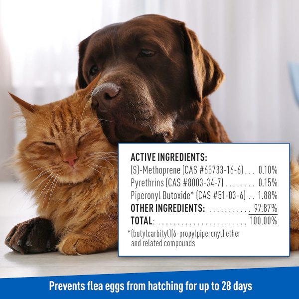 Adams Plus Flea & Tick Shampoo with Precor for Cats, Kittens, Dogs & Puppies Over 12 Weeks Of Age Sensitive Skin Flea Treatment | Kills Adult Fleas, Flea Eggs, Ticks, and Lice| 12 Ounces - Image 8