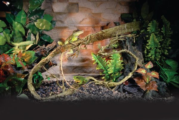 Penn-Plax Flexible Climbing Vines for Reptiles and Amphibians | Multiple Options| Great for Any Terrarium Decor (5' Brown) - Image 4