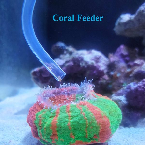 Aquarium Coral Feeder Fish Feeder Waste Clean Tool Manual Cleaner Water Changer Fish Tank Cleaning Tool Siphon Dropper Waste Remover Aquatic Bottom Feeder Pipette Aquarium - Image 4