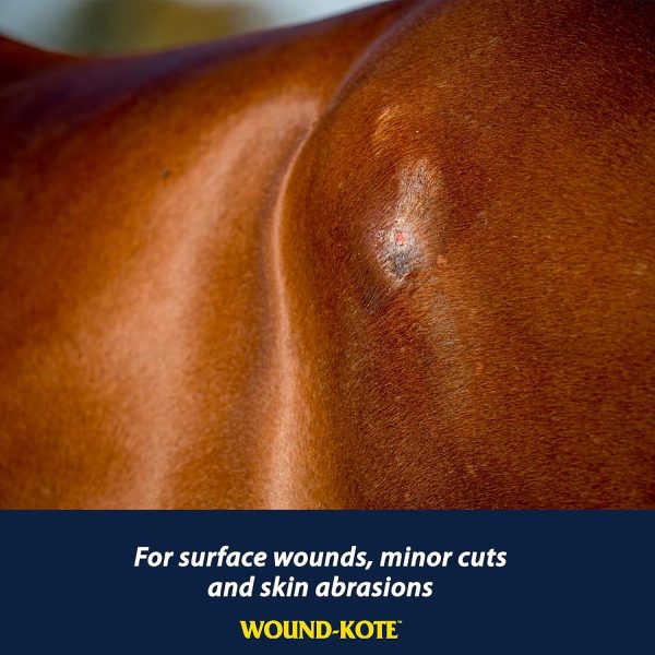 Farnam Wound-Kote Blue Lotion Spray Horse Wound Care for use on Horses and Dogs, Antiseptic Properties, for Minor Wounds, Cuts and Sores, 5 Oz - Image 2