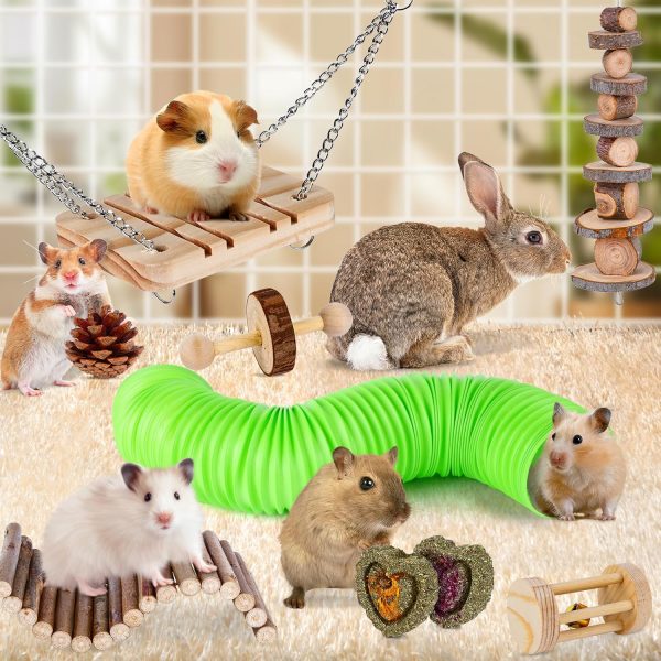 VESPRO Hamster Toys Set, Guinea Pig Toys Small Animal Chewing Toy and Rat Cage Accessories, Chinchillas, Gerbils, Rats, Rabbit Rodents Teeth Care, Apple Wood Timothy Hay Mouse Toy Swing Seesaw Bridge - Image 2