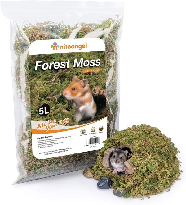 Niteangel 5L Forest Moss Soft Natural Moss Bedding Nesting for Dwarf Syrian Hamsters, Gerbils, mices, Degus or Other Small Animal