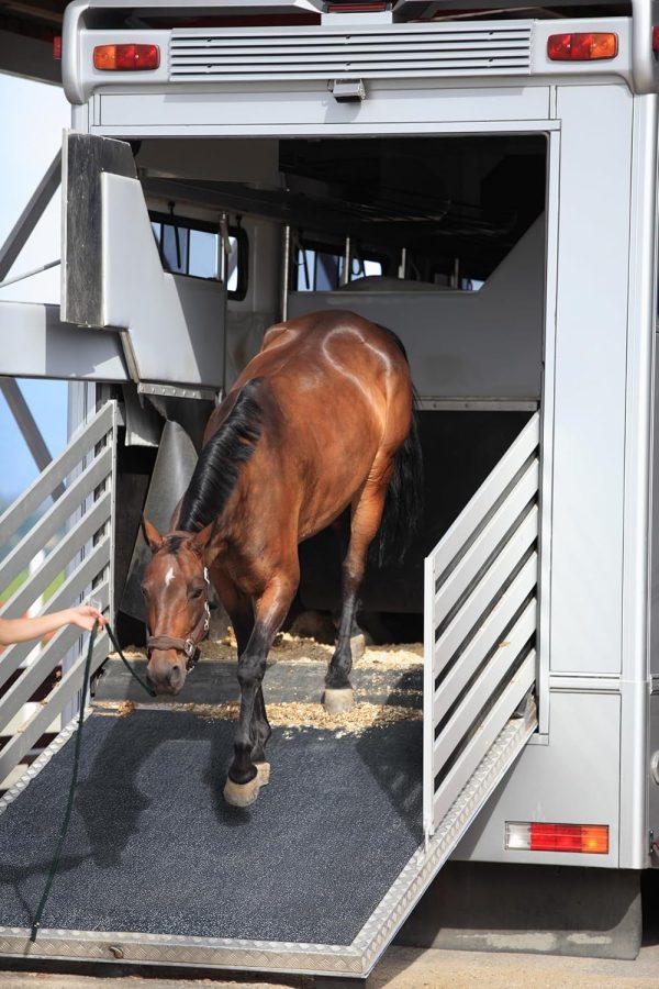 MSI Heavy Duty Horse Stall Mats - Stable Mats, Durable 3/4 in. Thick Rubber Flooring - Solid Black - 3.5' x 6' Mat for Stables, and More - 42 in. x 72 in. Stall Mat - Image 8