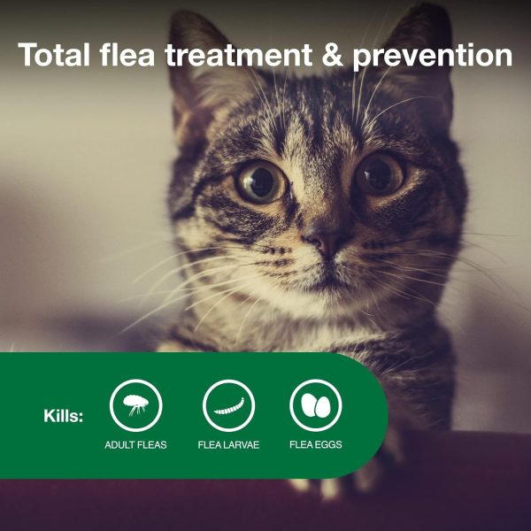 Advantage II Small Cat Vet-Recommended Flea Treatment & Prevention | Cats 5-9 lbs. | 2-Month Supply - Image 3