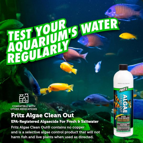 Fritz Aquatics Algae Clean Out - Algaecide for Fresh and Salt Water Aquariums, 16 oz - Image 5