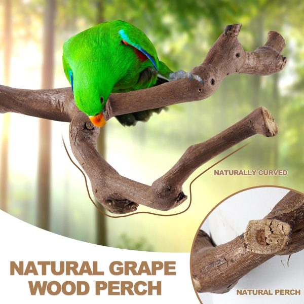 6PCS Bird Perch 2 Grape Stick Paw Grinding Fork Natural Wood Bird Stand 4 Parrot Stand Bird Toys for Parakeets Chewing Exercise Branches, Bird Cage Accessories for Cockatiels, Conure, Budgies - Image 2