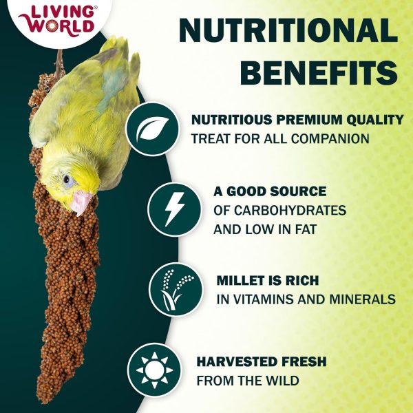 Living World - Millet Spray for Birds, 3.5 Oz – Premium Treat for Budgies, Canaries, Finches, Cockatiels and Other Pet Birds - Image 2