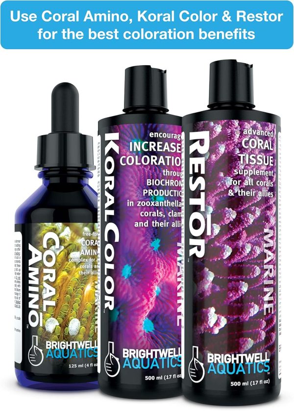 Brightwell Aquatics KoralColor - Marine Water Conditioner Increases Coloration in Corals, Clams & Other Allies, 250-ML (COL250) - Image 5