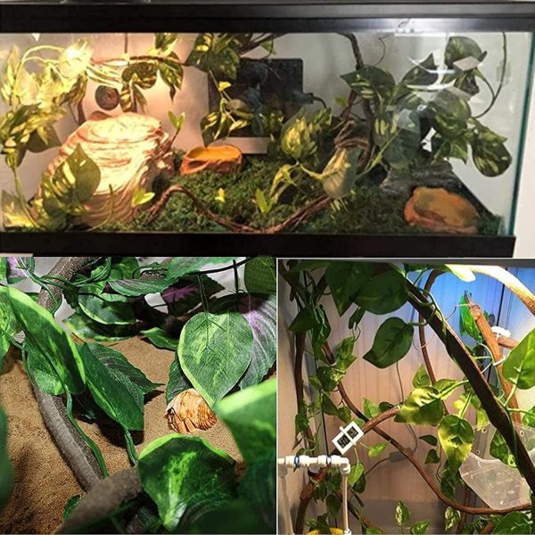 Hamiledyi Crested Gecko Coco Hut Natural Reptile Coconut Hideouts Lizard Water Food Bowls Climbing Porch Hiding Sleeping Breeding Pad Jungle Vine Flexible Reptile Leaves for Bearded Dragon 6PCS - Image 6