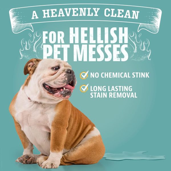 Angry Orange Stain Remover - 32oz Enzyme Pet Cleaner - Dog & Cat Urine Destroyer and Stain Remover - Citrus Spray Cleaning Solution - Puppy Supplies - Image 7