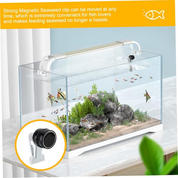 Seaweed Clip Strong Magnetic Seaweed Fish Feeder Clip Portable Fish Tank Feeder Mini Veggie Feeder Clip Practical Fish Tank Accessories for Fish and Aquatic Pets Seaweed Clip - Image 6