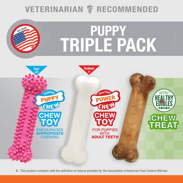 Nylabone Puppy Triple Pack - Pink Puppy Teething Toy, Nylon Dog Toy, & Chew Treat Variety Pack - Puppy Supplies - Chicken and Bacon Flavors, Small/Regular (3 Count) - Image 3