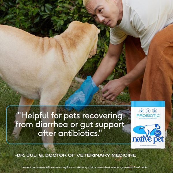 Native Pet Probiotic for Dogs - Vet Created Powder Digestive Issues Dog Probiotics + Prebiotic Bone Broth 232 Gram 6 Billion CFU - Dog Supplies - Powder Prebiotics and Probiotics Dogs Love! (16.4 oz) - Image 5