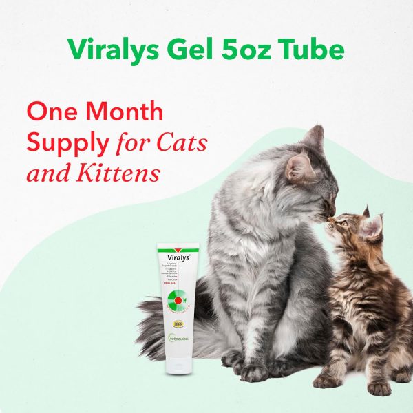 Vetoquinol Viralys Gel L-Lysine Supplement for Cats, 5oz - Cats & Kittens of All Ages - Immune Health - Sneezing, Runny Nose, Squinting, Watery Eyes - Palatable Maple Flavor Lysine Gel - Image 6