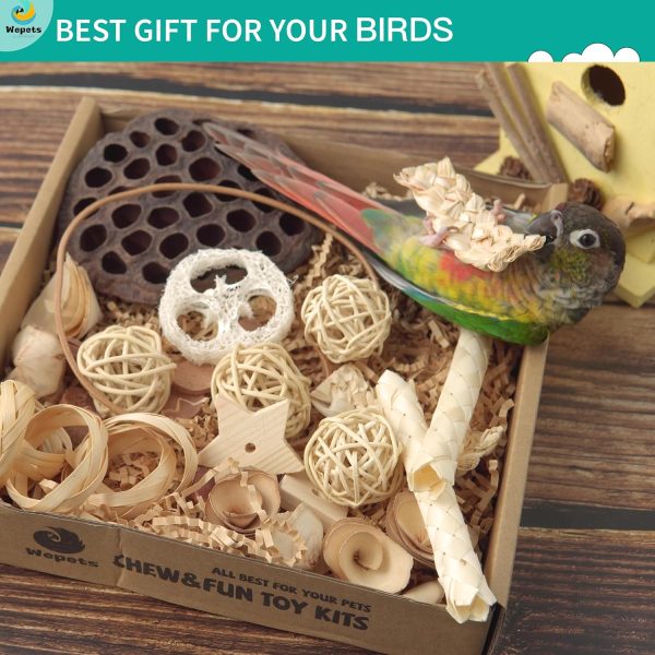 Natural Bird Foraging Toys & Parrot Toys Box Interactive Chewing and Foraging Toys for Parakeets, Cockatiels, Conures, Quakers, Sun Conure, and Other Small to Medium Bird shredding Toys - Image 4